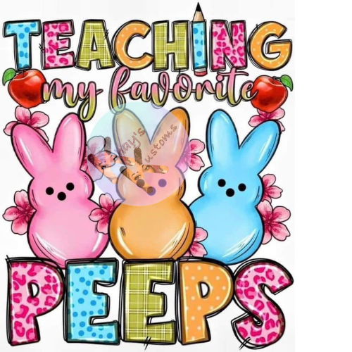 DTF Transfer-Teaching My Fav Peeps